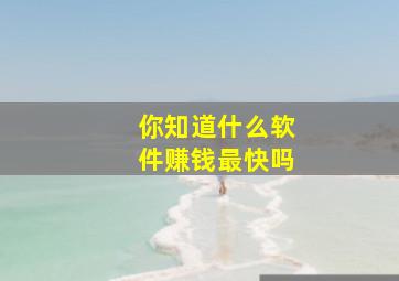 你知道什么软件赚钱最快吗