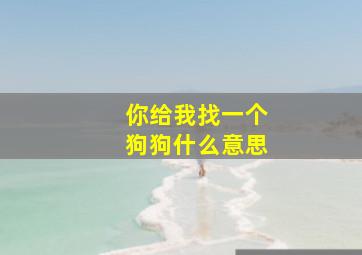 你给我找一个狗狗什么意思