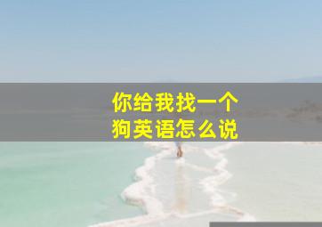 你给我找一个狗英语怎么说