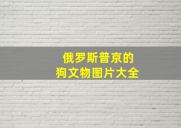 俄罗斯普京的狗文物图片大全