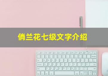 俏兰花七级文字介绍