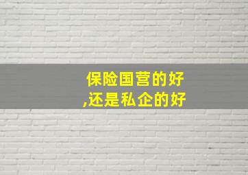 保险国营的好,还是私企的好