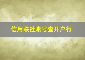 信用联社账号查开户行