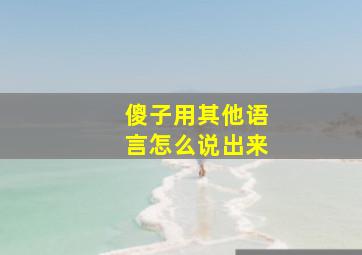 傻子用其他语言怎么说出来