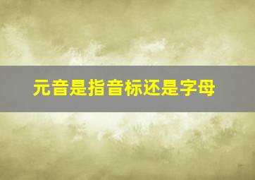 元音是指音标还是字母