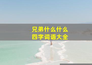 兄弟什么什么四字词语大全