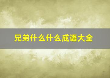 兄弟什么什么成语大全