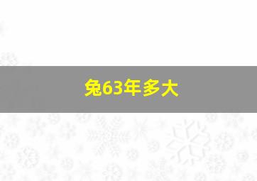 兔63年多大