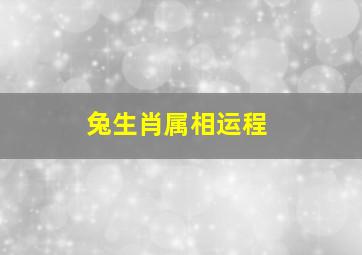 兔生肖属相运程