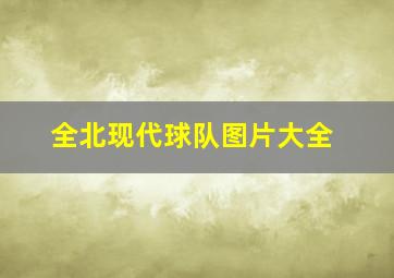 全北现代球队图片大全