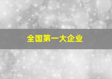 全国第一大企业