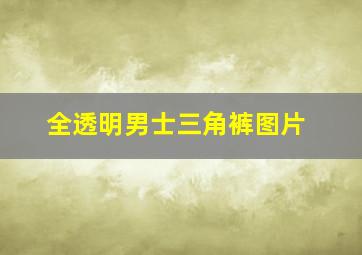 全透明男士三角裤图片