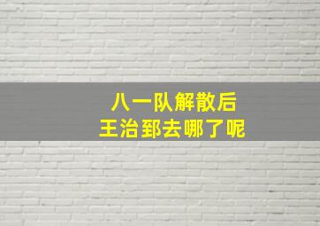 八一队解散后王治郅去哪了呢