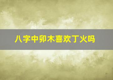 八字中卯木喜欢丁火吗