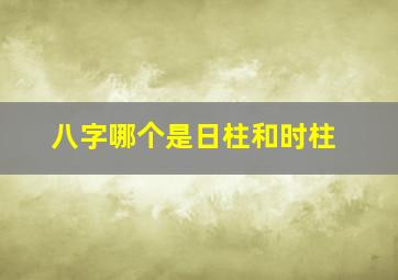 八字哪个是日柱和时柱