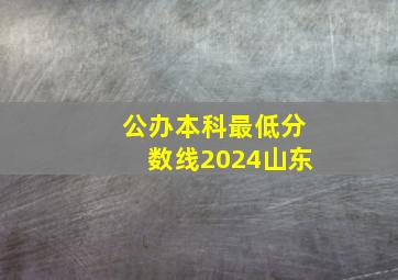 公办本科最低分数线2024山东