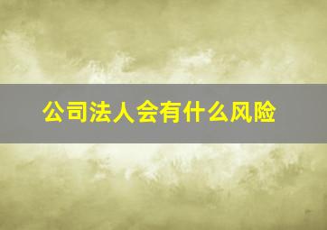 公司法人会有什么风险