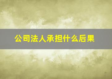 公司法人承担什么后果