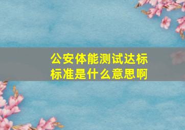 公安体能测试达标标准是什么意思啊