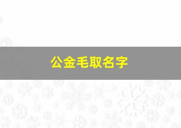 公金毛取名字