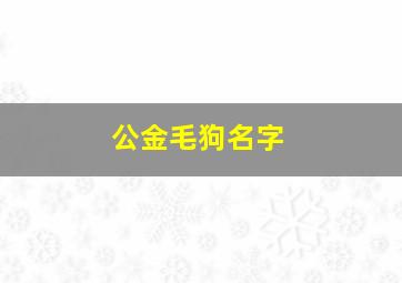 公金毛狗名字