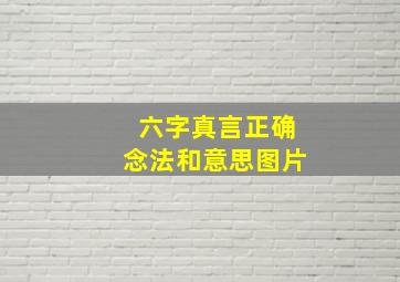 六字真言正确念法和意思图片