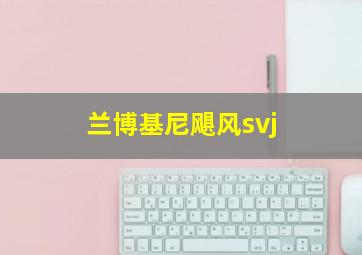 兰博基尼飓风svj