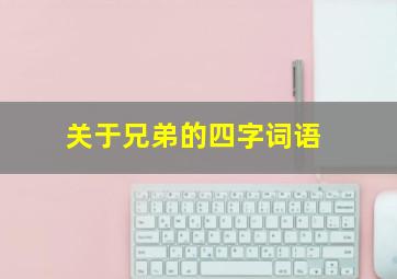 关于兄弟的四字词语