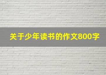 关于少年读书的作文800字