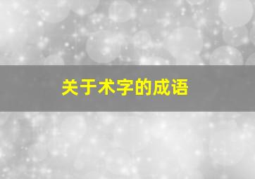 关于术字的成语