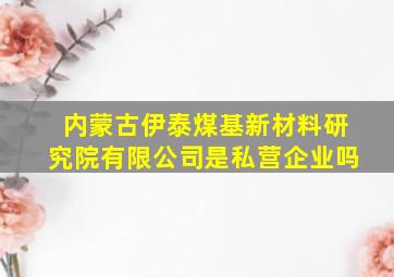 内蒙古伊泰煤基新材料研究院有限公司是私营企业吗