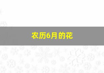 农历6月的花