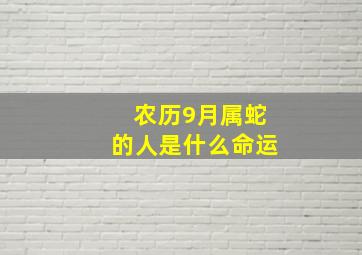 农历9月属蛇的人是什么命运