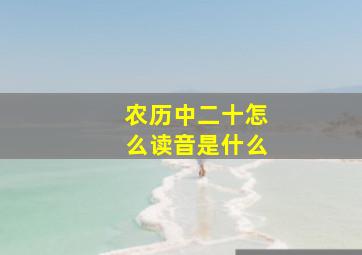 农历中二十怎么读音是什么