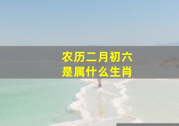 农历二月初六是属什么生肖