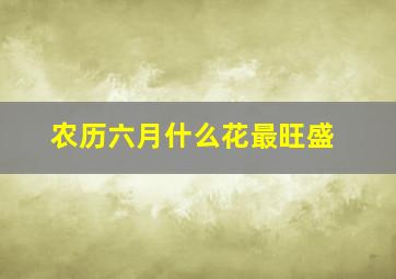 农历六月什么花最旺盛