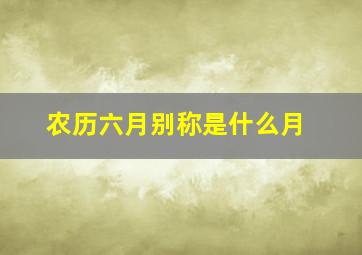 农历六月别称是什么月