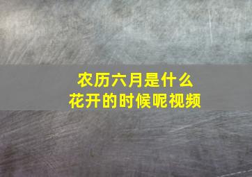 农历六月是什么花开的时候呢视频