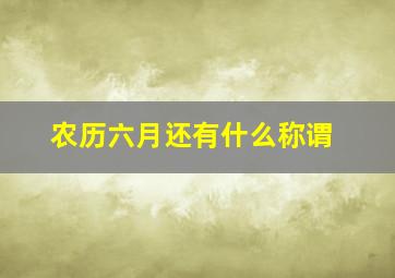 农历六月还有什么称谓