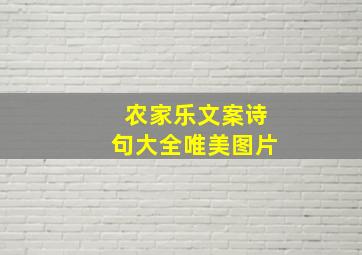 农家乐文案诗句大全唯美图片