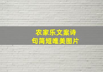 农家乐文案诗句简短唯美图片