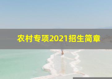 农村专项2021招生简章