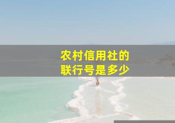 农村信用社的联行号是多少