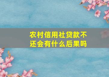 农村信用社贷款不还会有什么后果吗