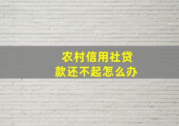 农村信用社贷款还不起怎么办