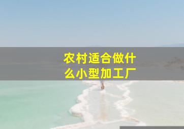 农村适合做什么小型加工厂