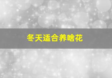 冬天适合养啥花