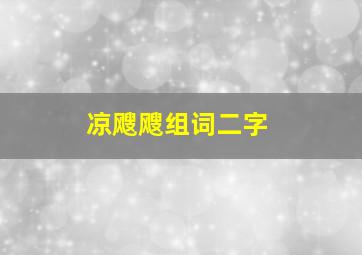 凉飕飕组词二字