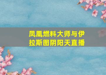 凤凰燃料大师与伊拉斯图阴阳天直播