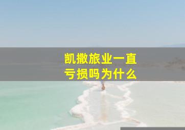 凯撒旅业一直亏损吗为什么